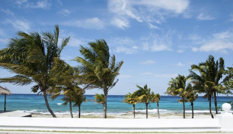 Cruise foto