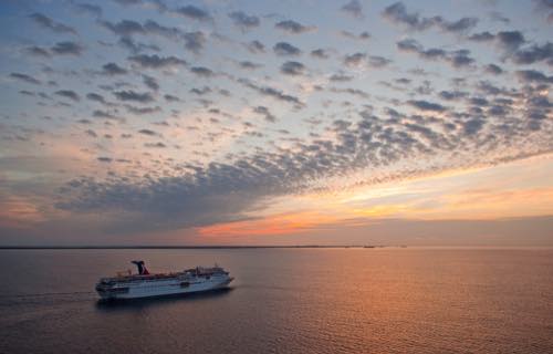 Cruise foto