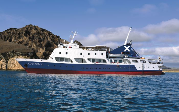 Cruise foto