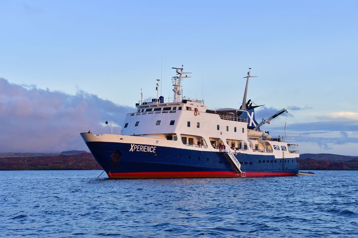 Cruise foto
