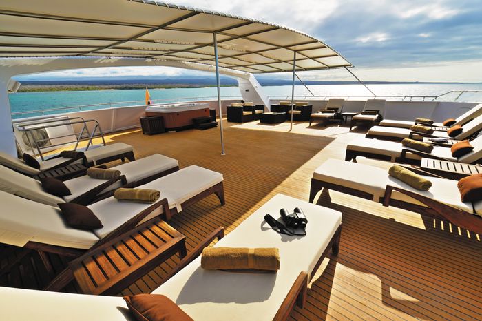 Cruise foto