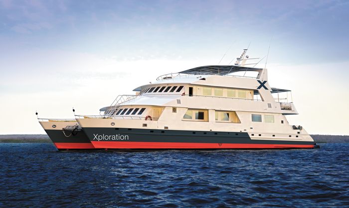Cruise foto