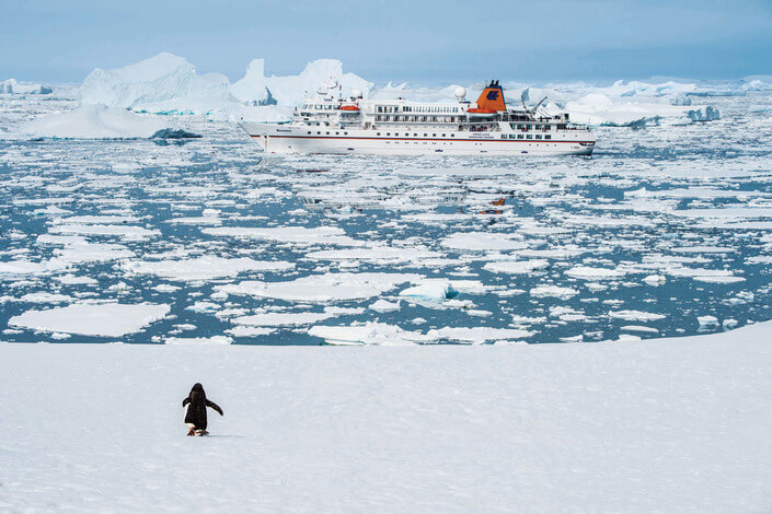Cruise foto