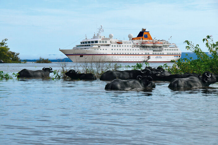 Cruise foto
