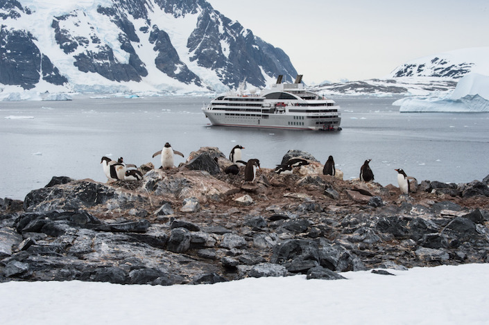 Cruise foto