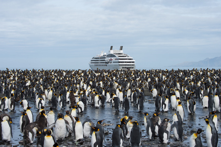 Cruise foto