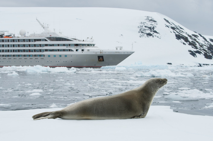 Cruise foto
